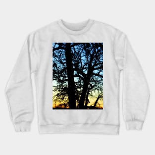 Trees 77 by Kristalin Davis Crewneck Sweatshirt